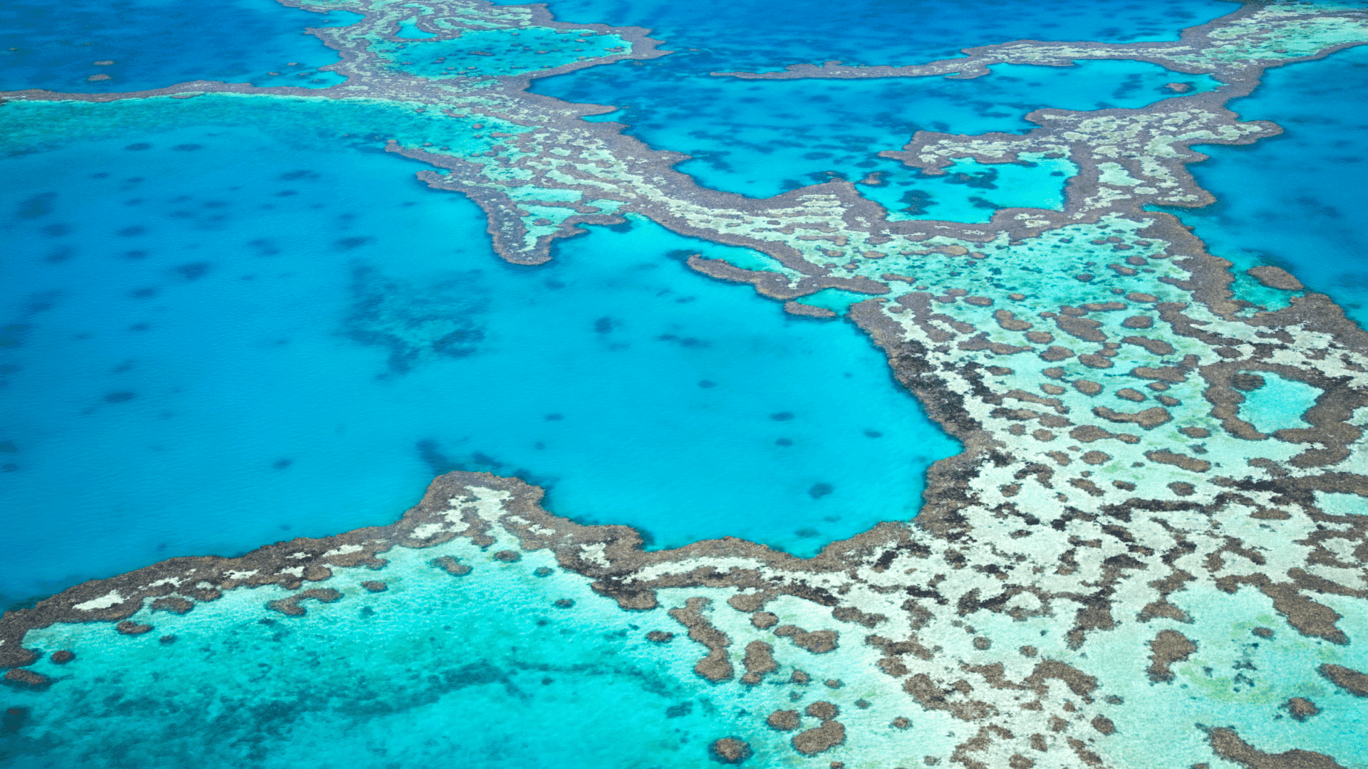 Great Barrier Reef