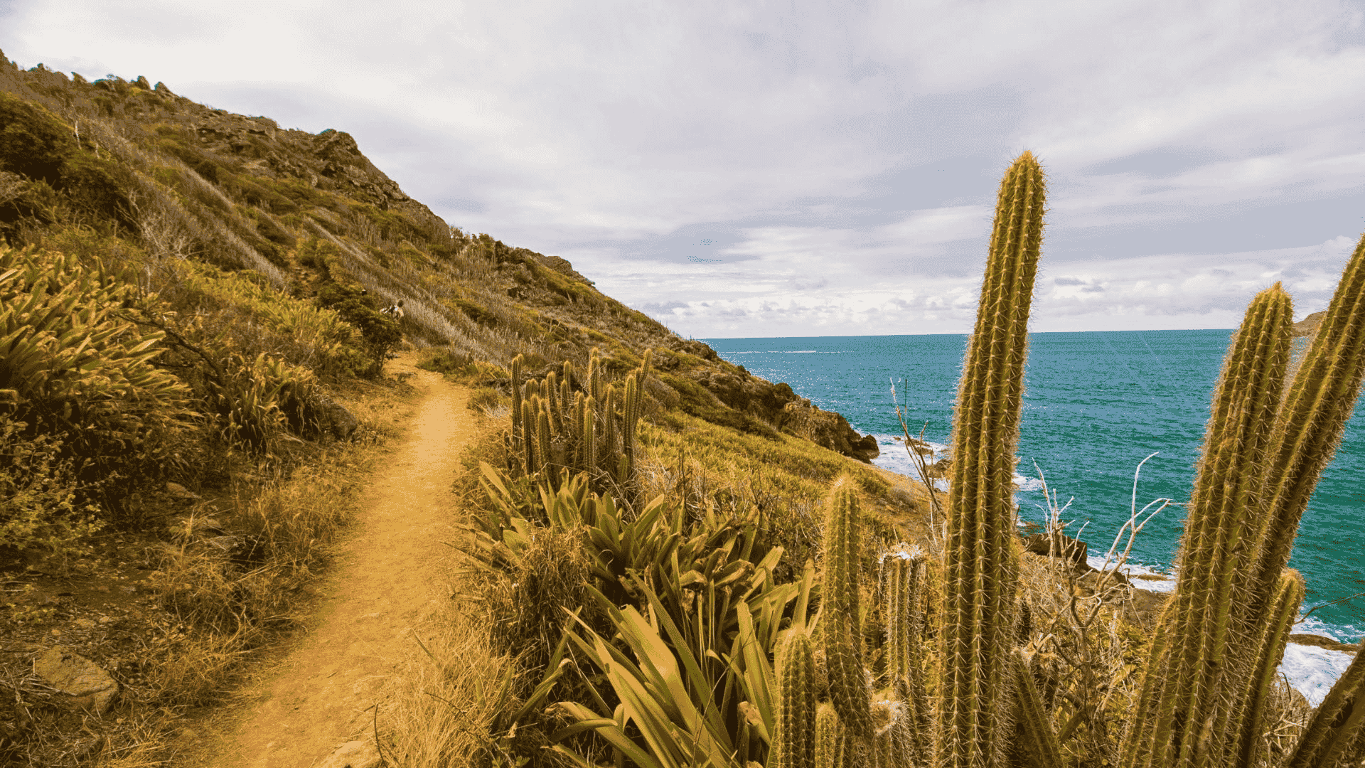 Les Cretes Trail