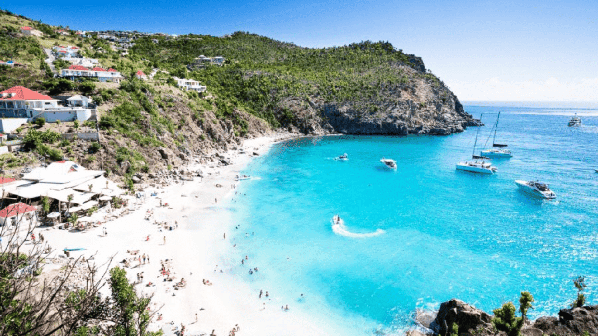 Shell Beach