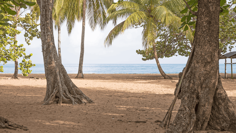 Plage de Grande Anse