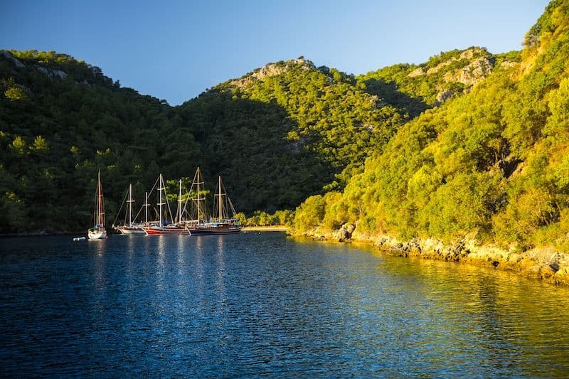 skopea limani wall bay