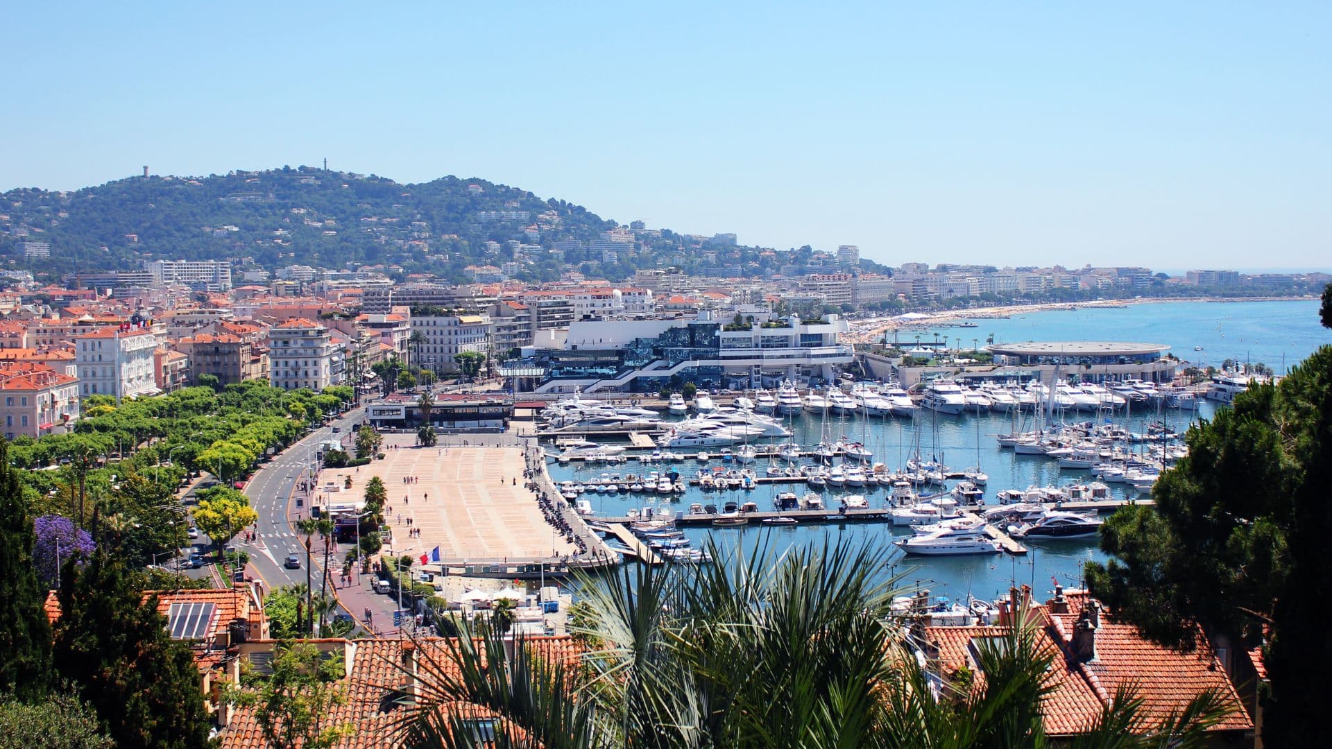 cannes marina