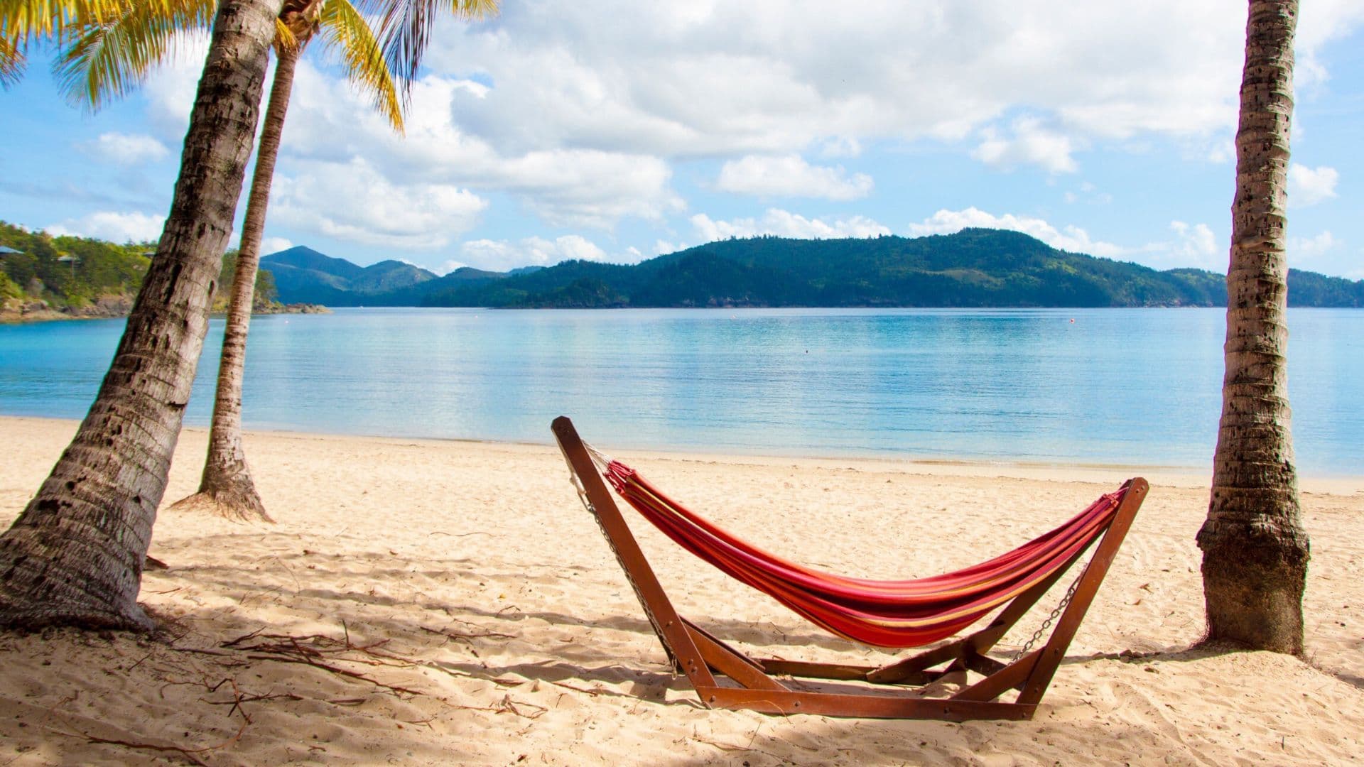 hammock on hamilton island