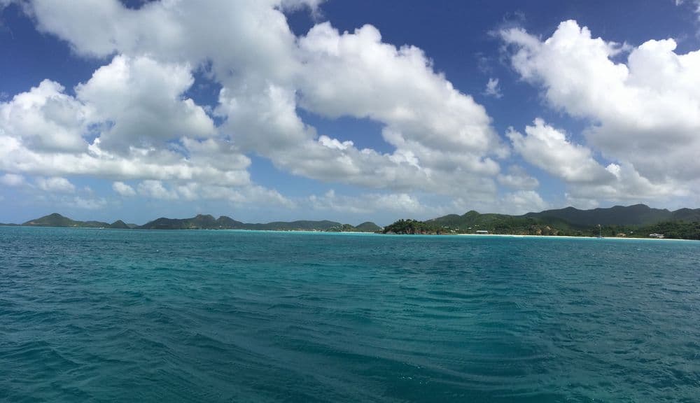 Day 3: Carlisle Bay (12nm)