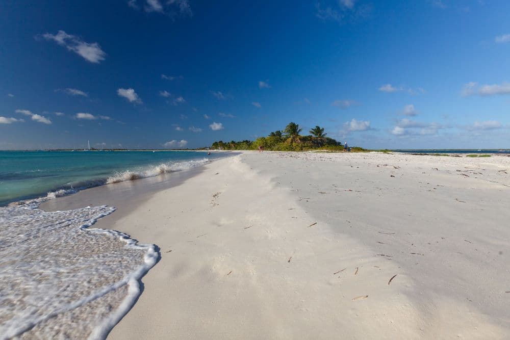Day 6: Coco Beach (6nm)