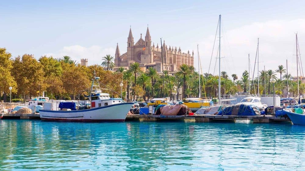 majorca cathedral