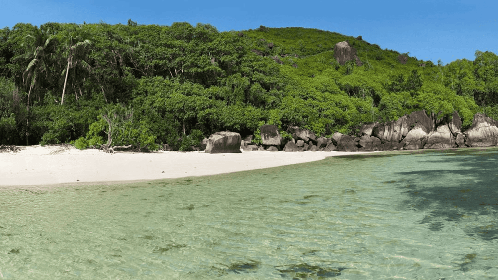 beach at ile au cerf seychelles