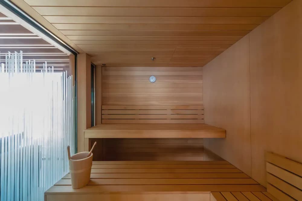 project x sauna