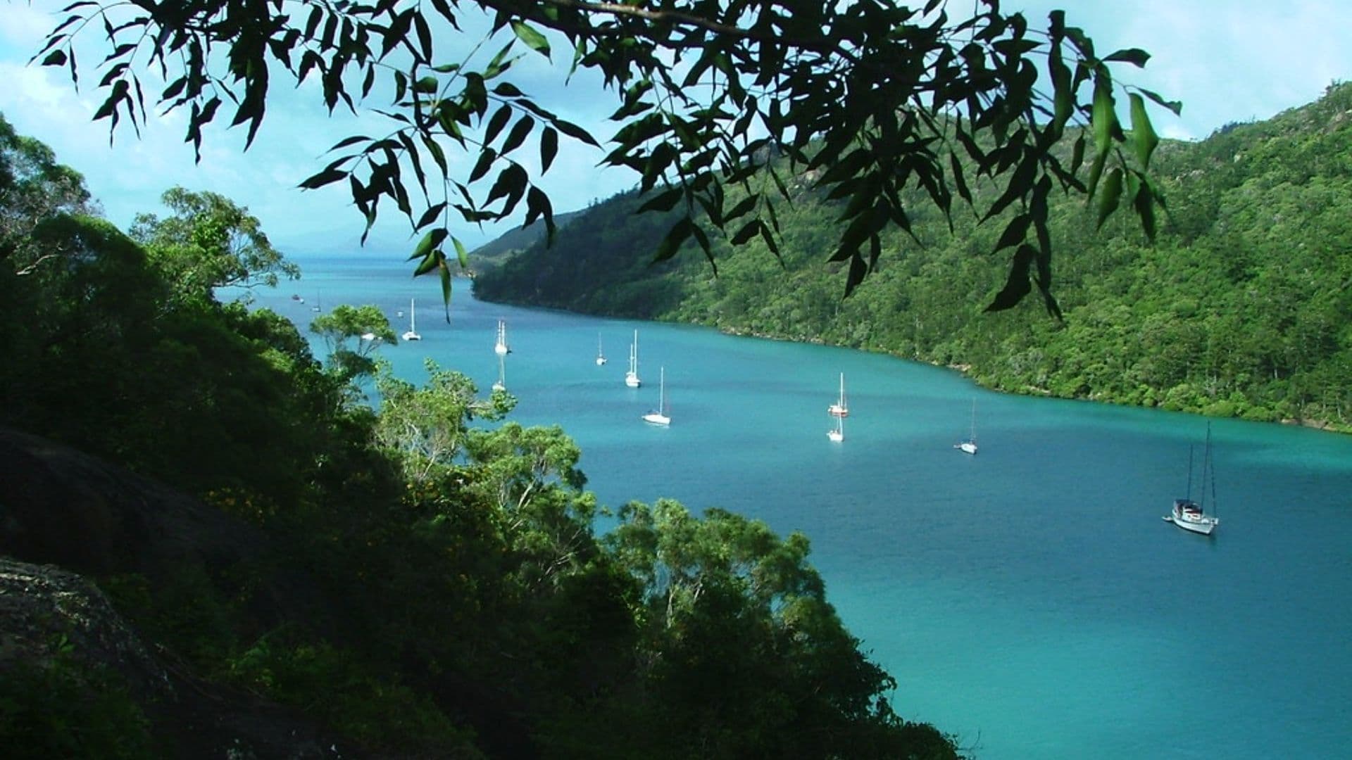 nara inlet australia boats moored