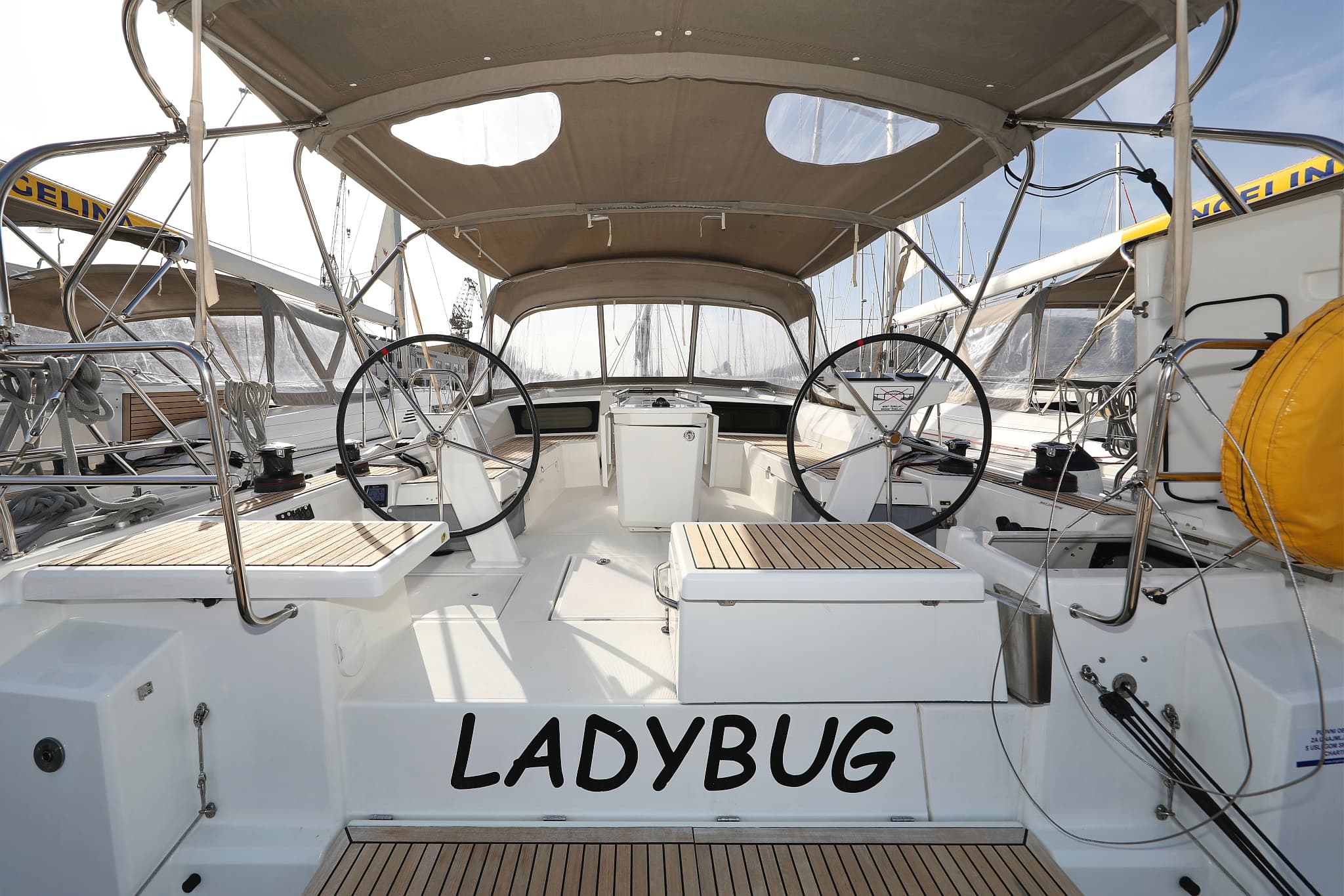 Ladybug