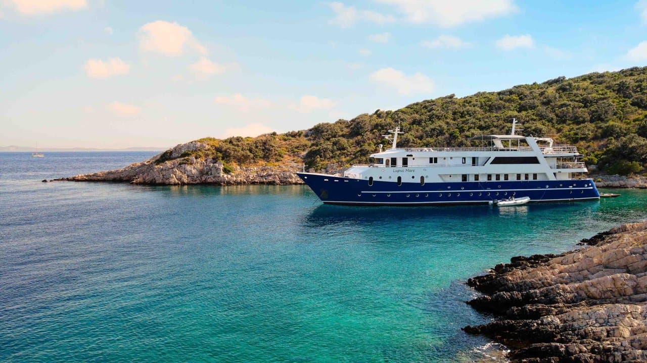 LUPUS MARE