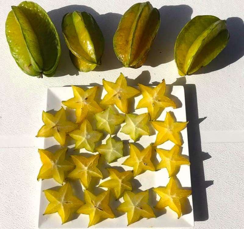 Sample menu image