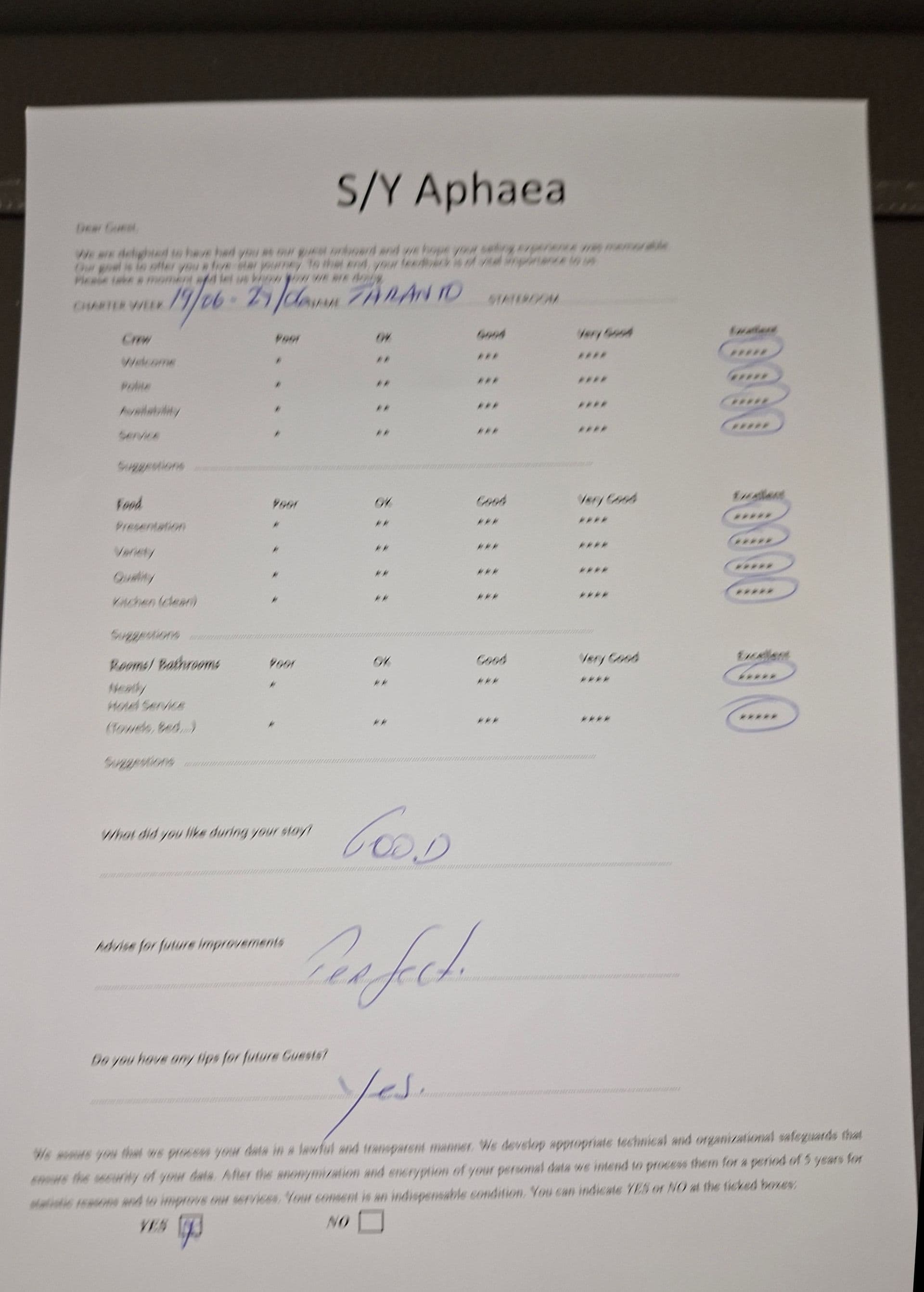 APHAEA guest review