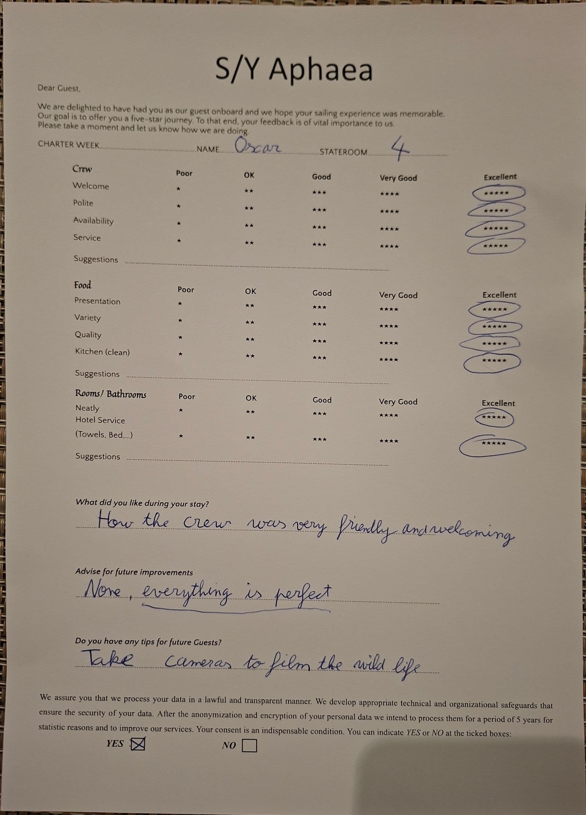 APHAEA guest review