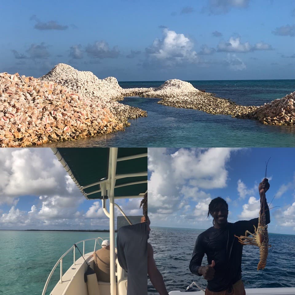 TWIN FLAME 77 guest review