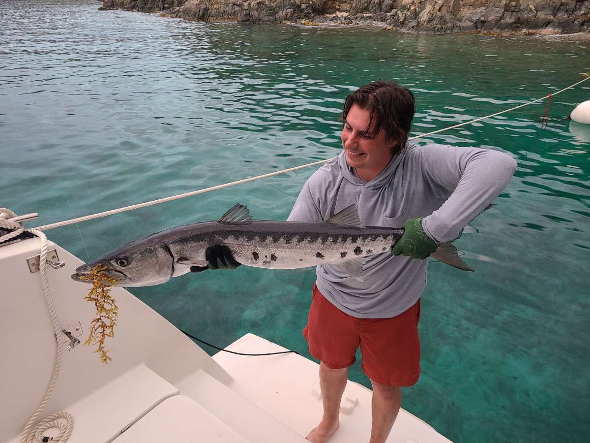 AEOLUS 77 guest review