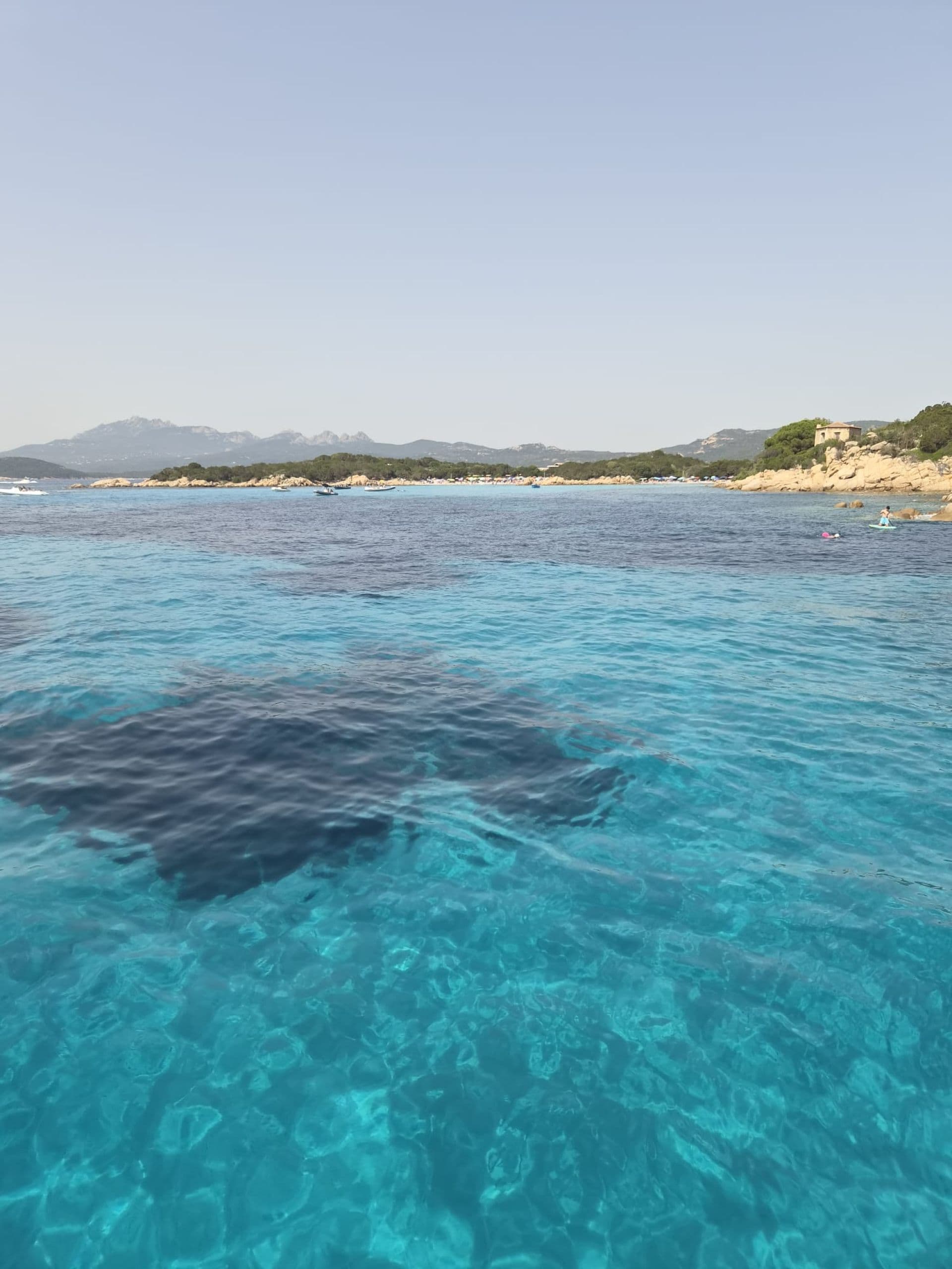 SIETE MARES guest review