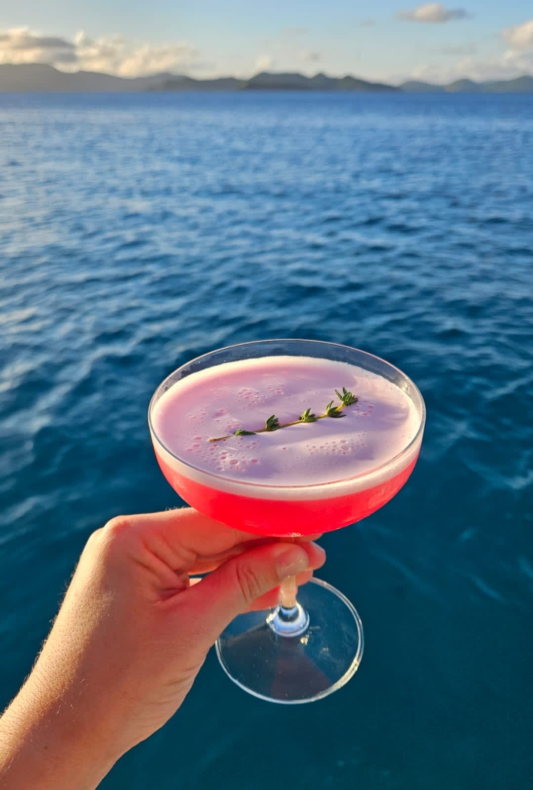 C'EST LA VIE guest review
