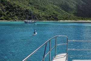 C'EST LA VIE guest review