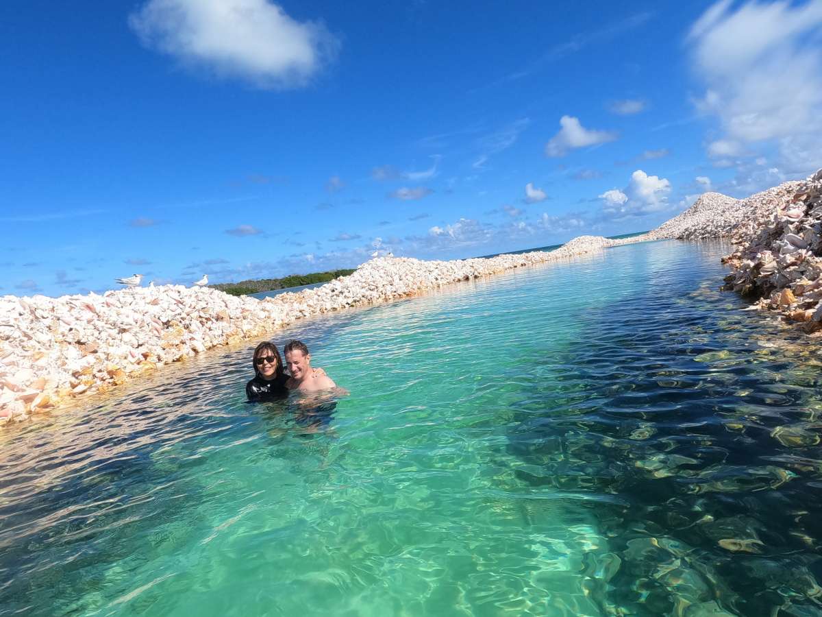 XANDROS guest review