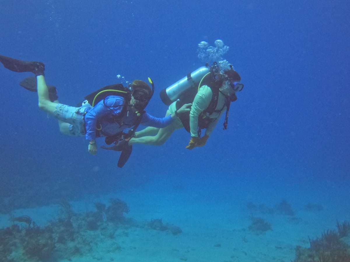 SCUBA DOO guest review