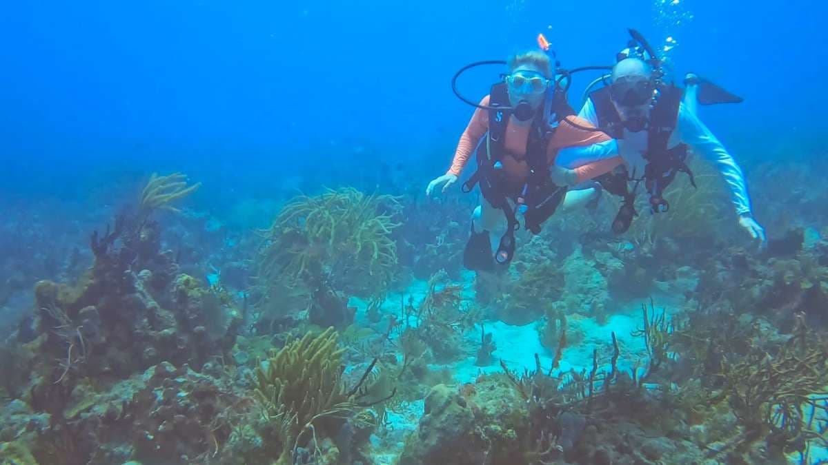 SCUBA DOO guest review