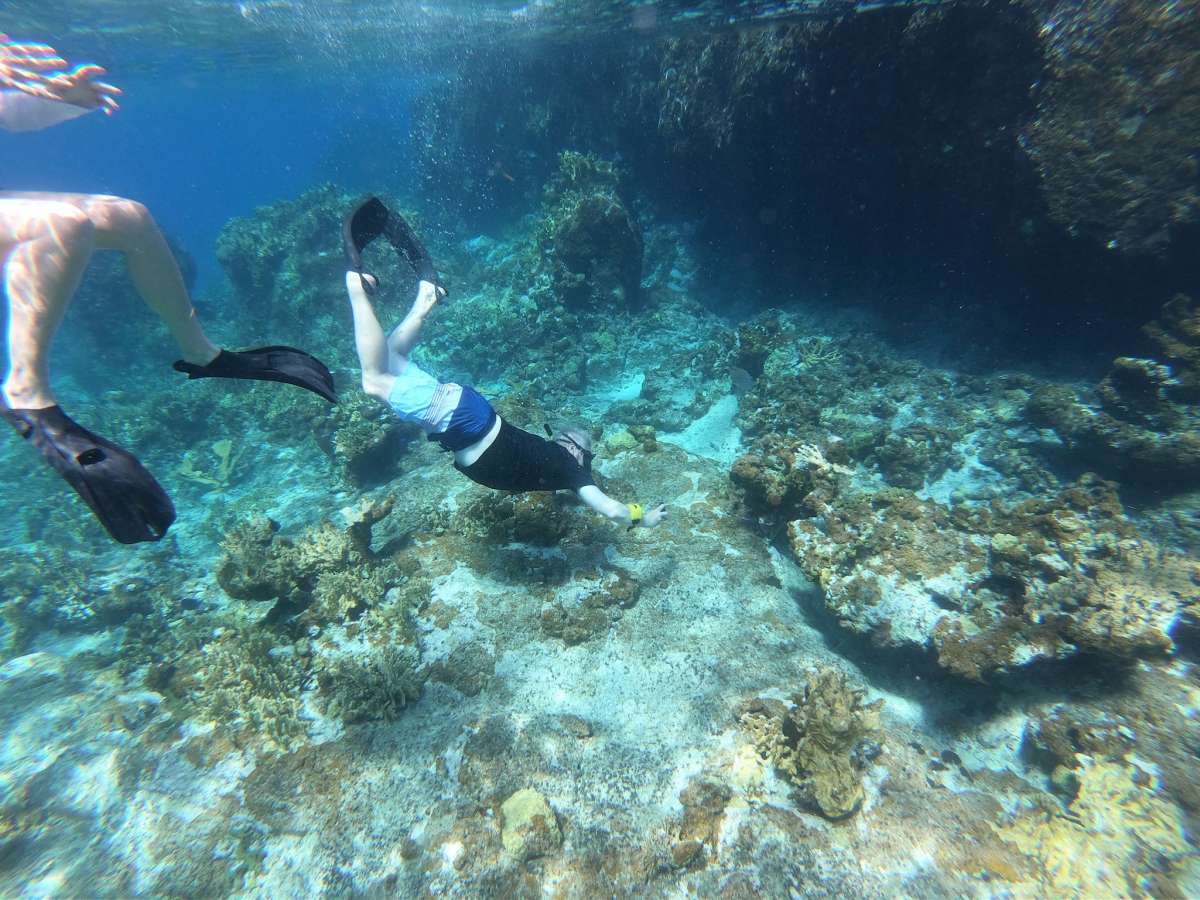 SCUBA DOO guest review