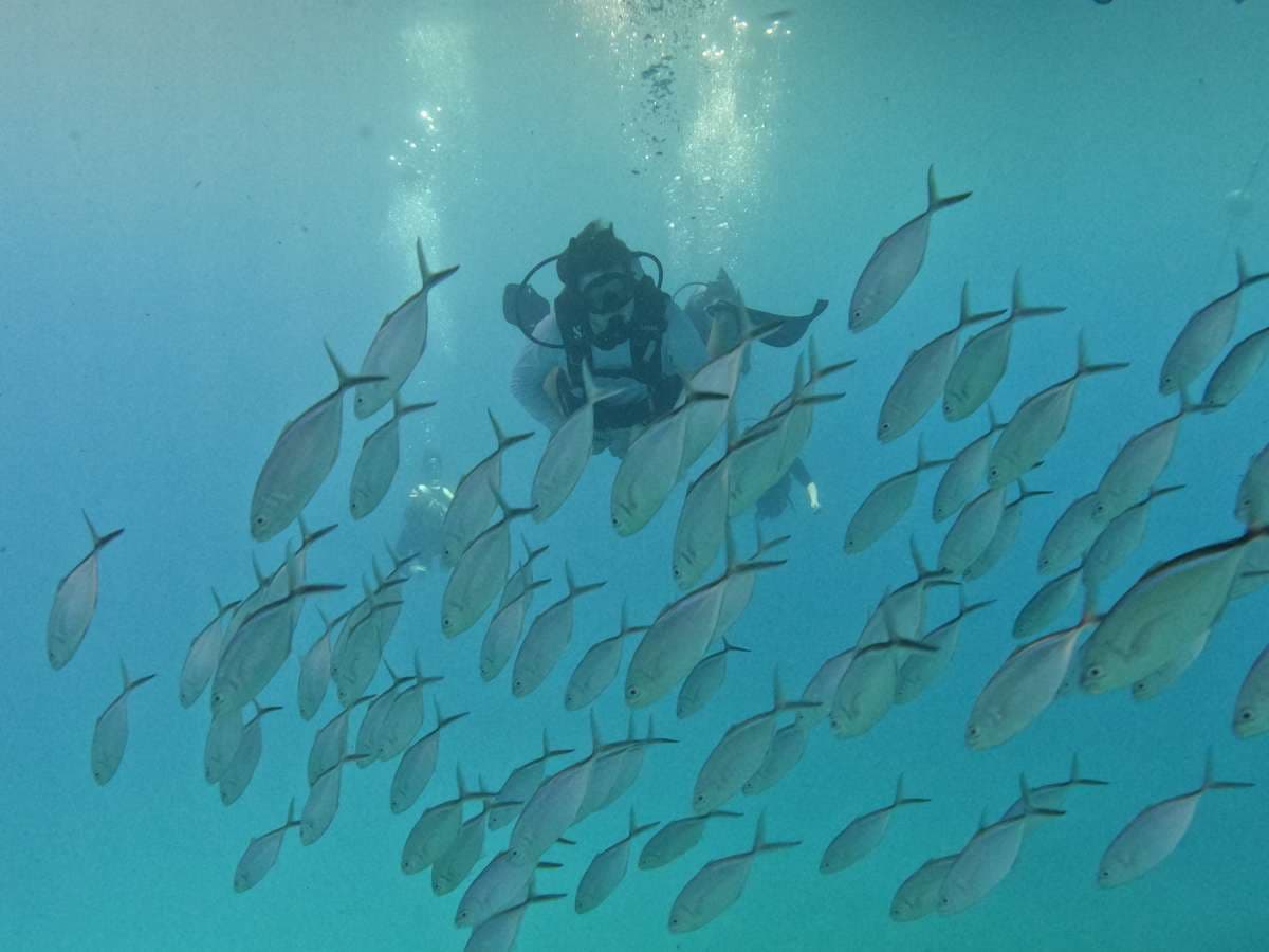 SCUBA DOO guest review