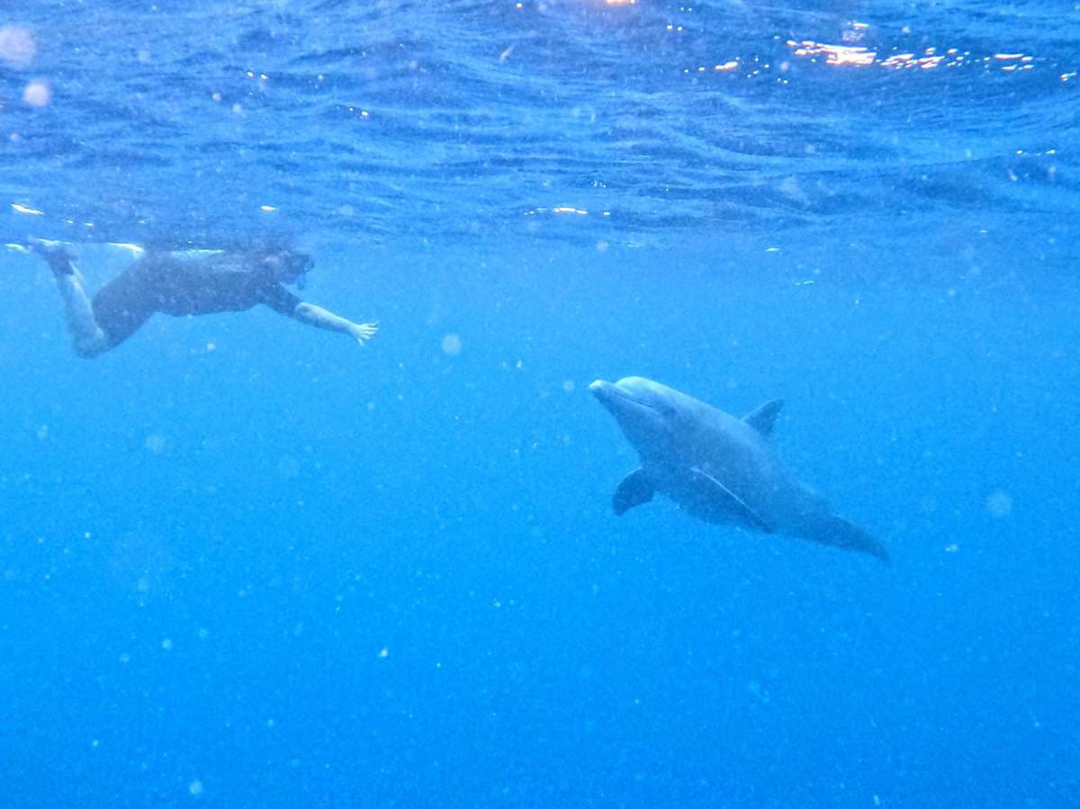 SCUBA DOO guest review