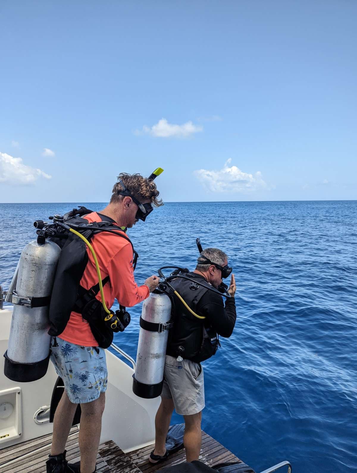SCUBA DOO guest review