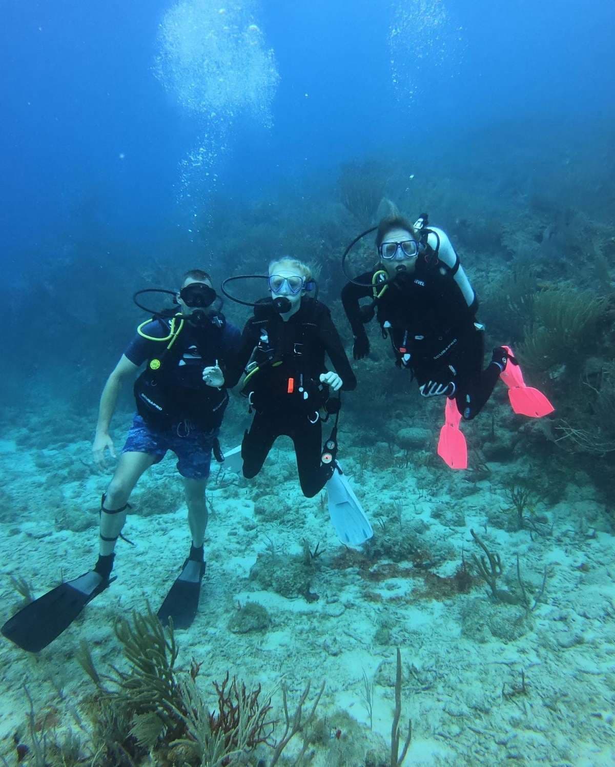 SCUBA DOO guest review