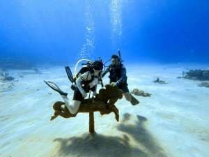 SCUBA DOO guest review