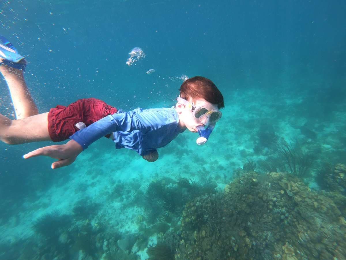 SCUBA DOO guest review