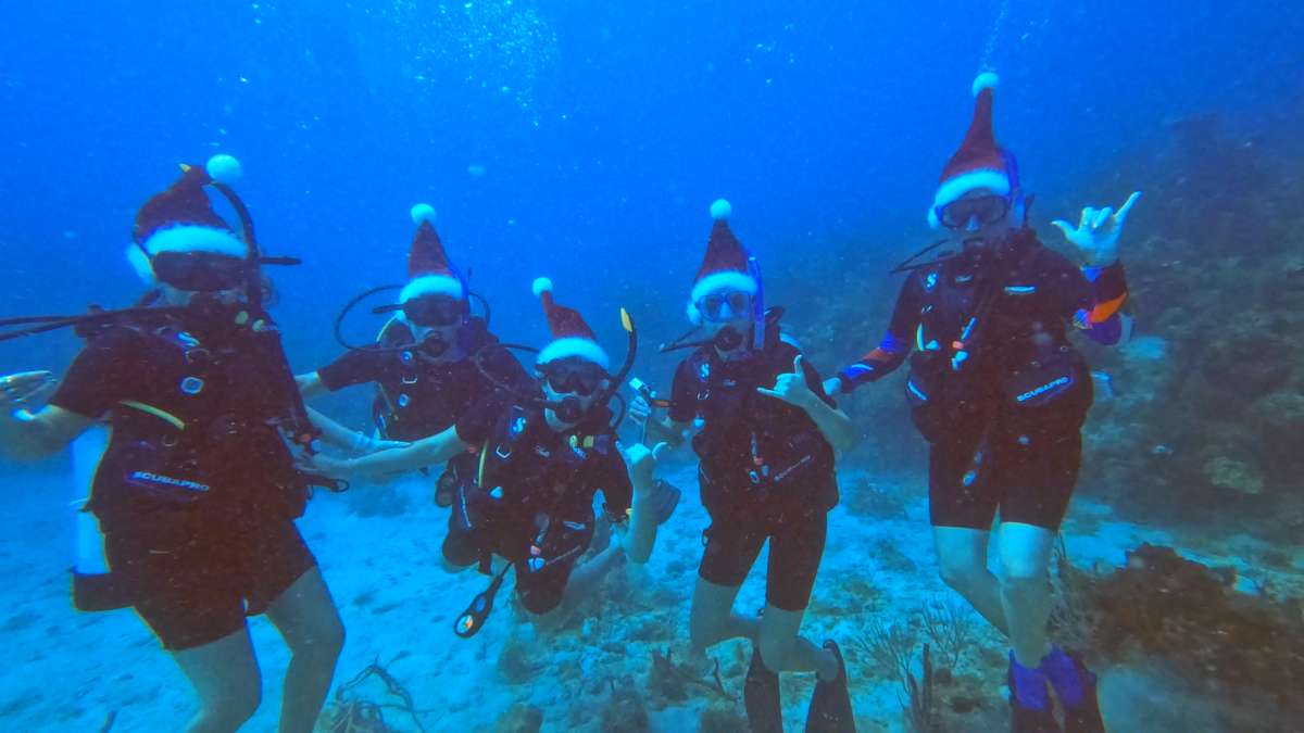 SCUBA DOO guest review
