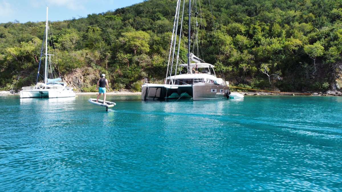 PALOMA guest review
