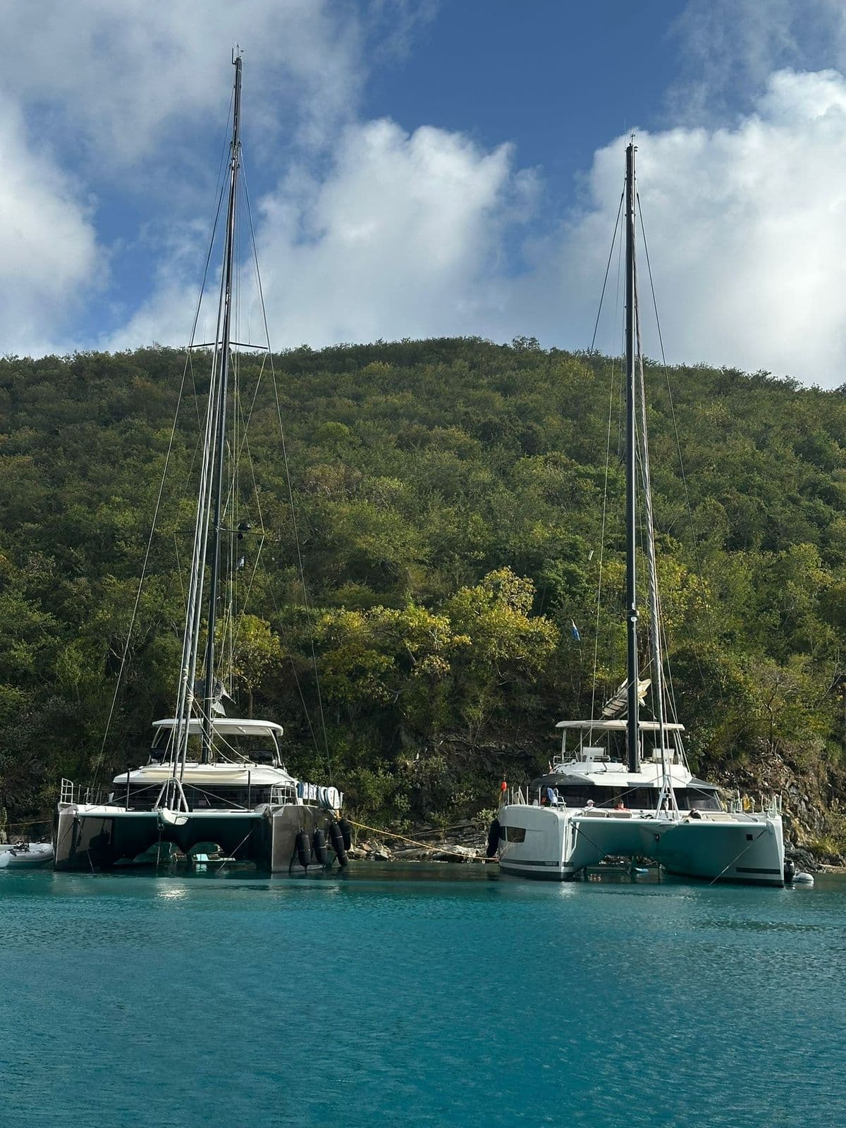 PALOMA guest review