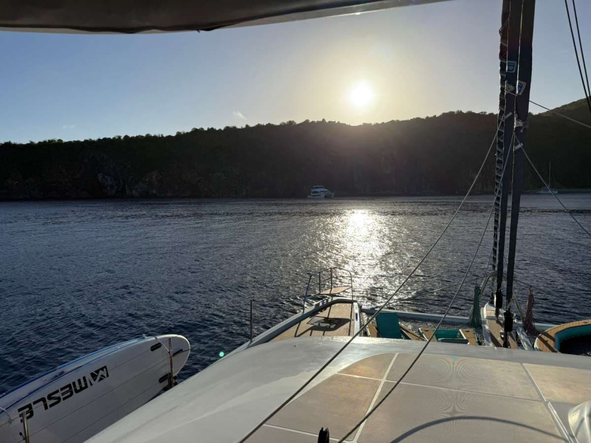 PALOMA guest review
