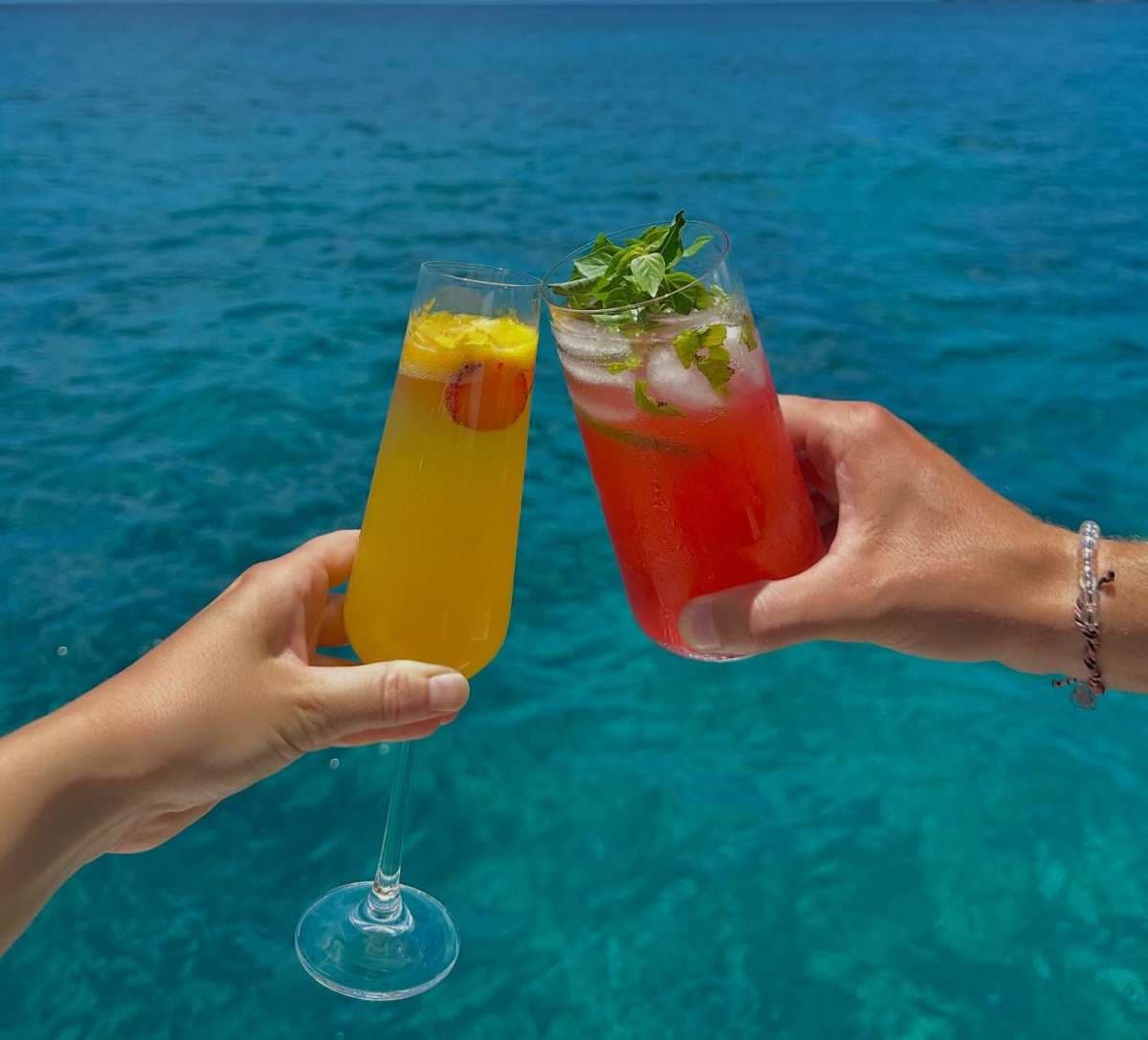 PALOMA guest review