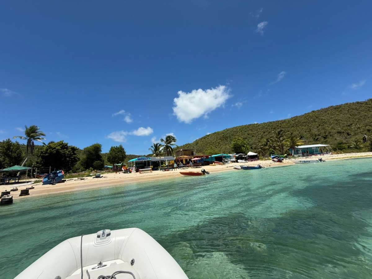 PALOMA guest review