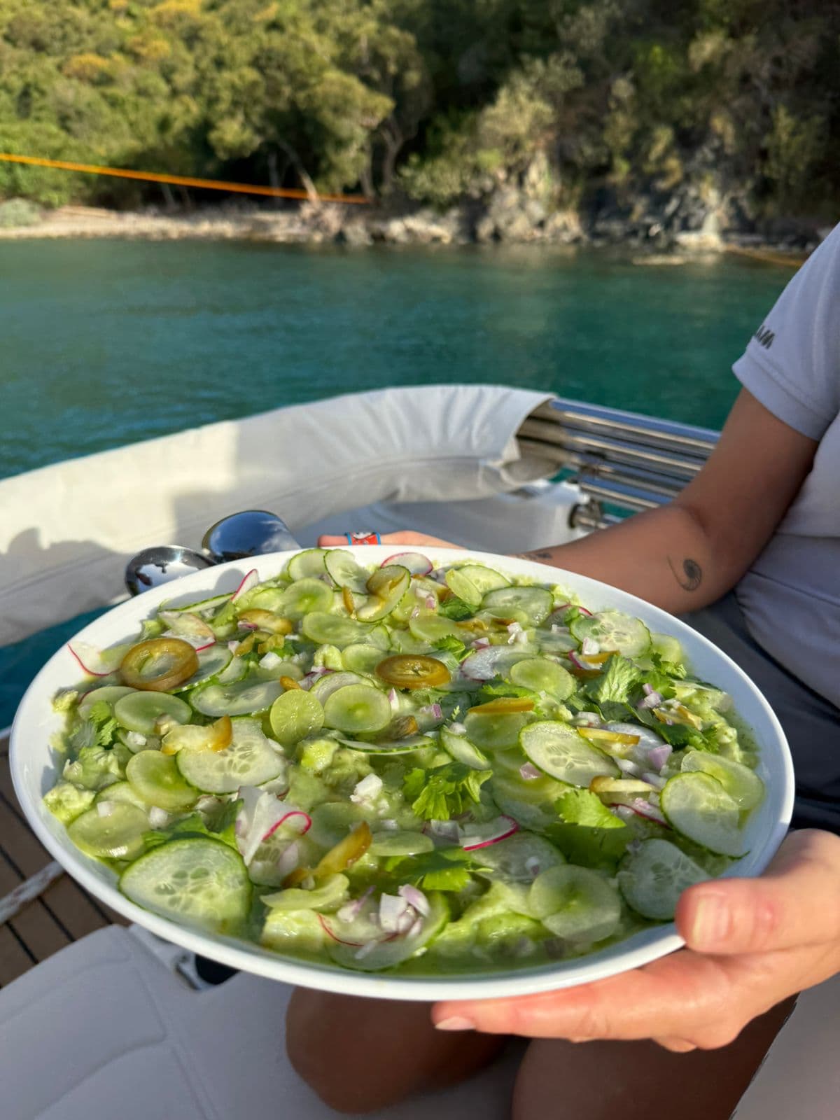 PALOMA guest review