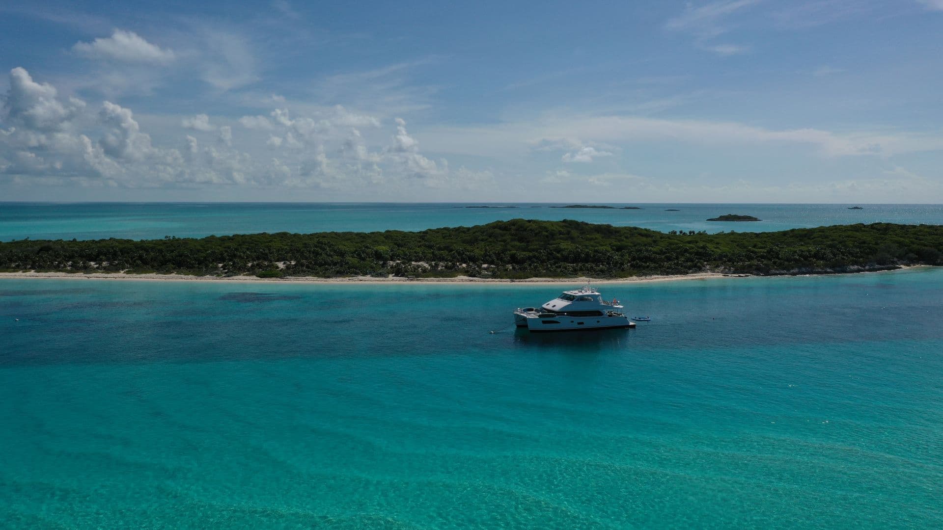 MUCHO GUSTO guest review