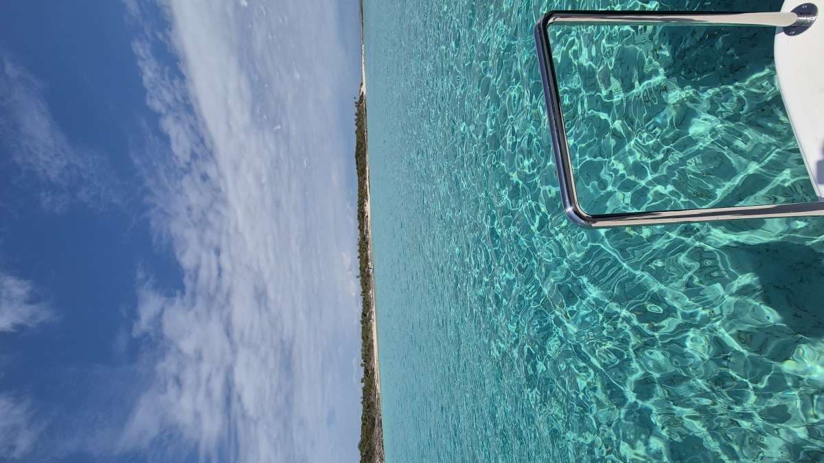 MUCHO GUSTO guest review