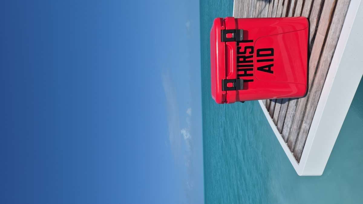 MUCHO GUSTO guest review