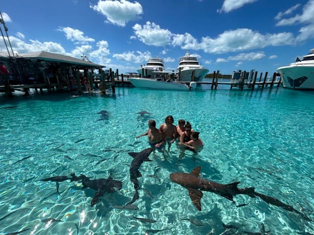 MUCHO GUSTO guest review