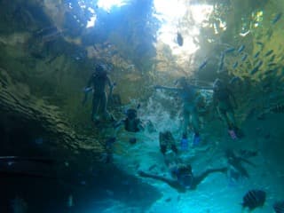 MUCHO GUSTO guest review