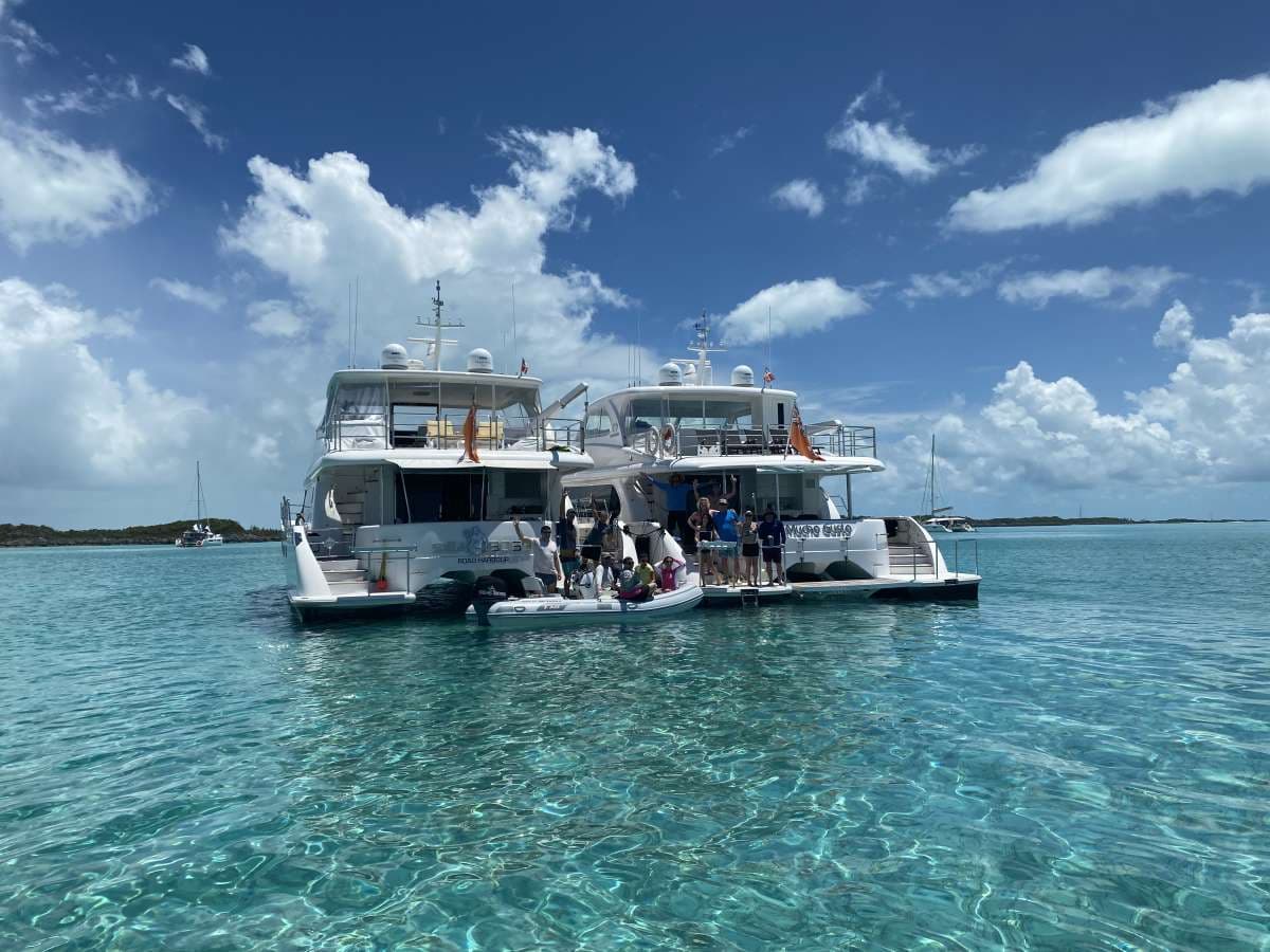 MUCHO GUSTO guest review