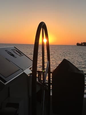 BAGHEERA L620 guest review