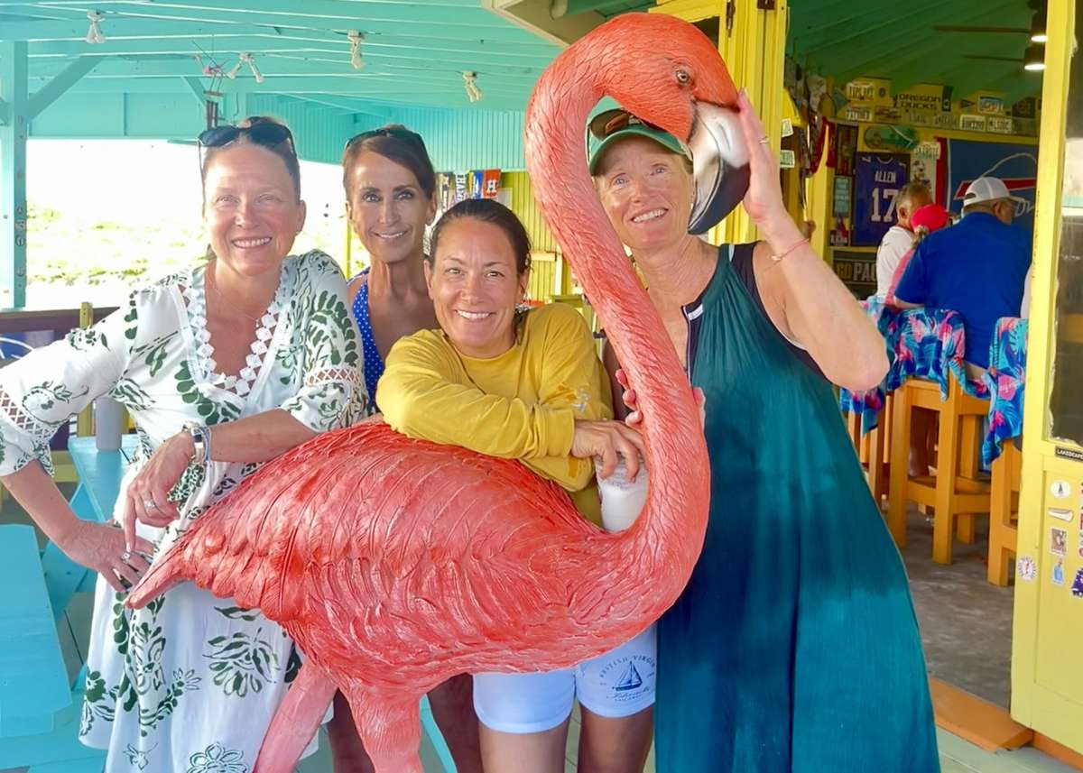 SANDY CINCO guest review