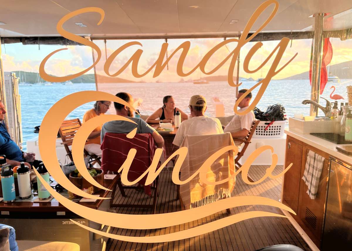 SANDY CINCO guest review