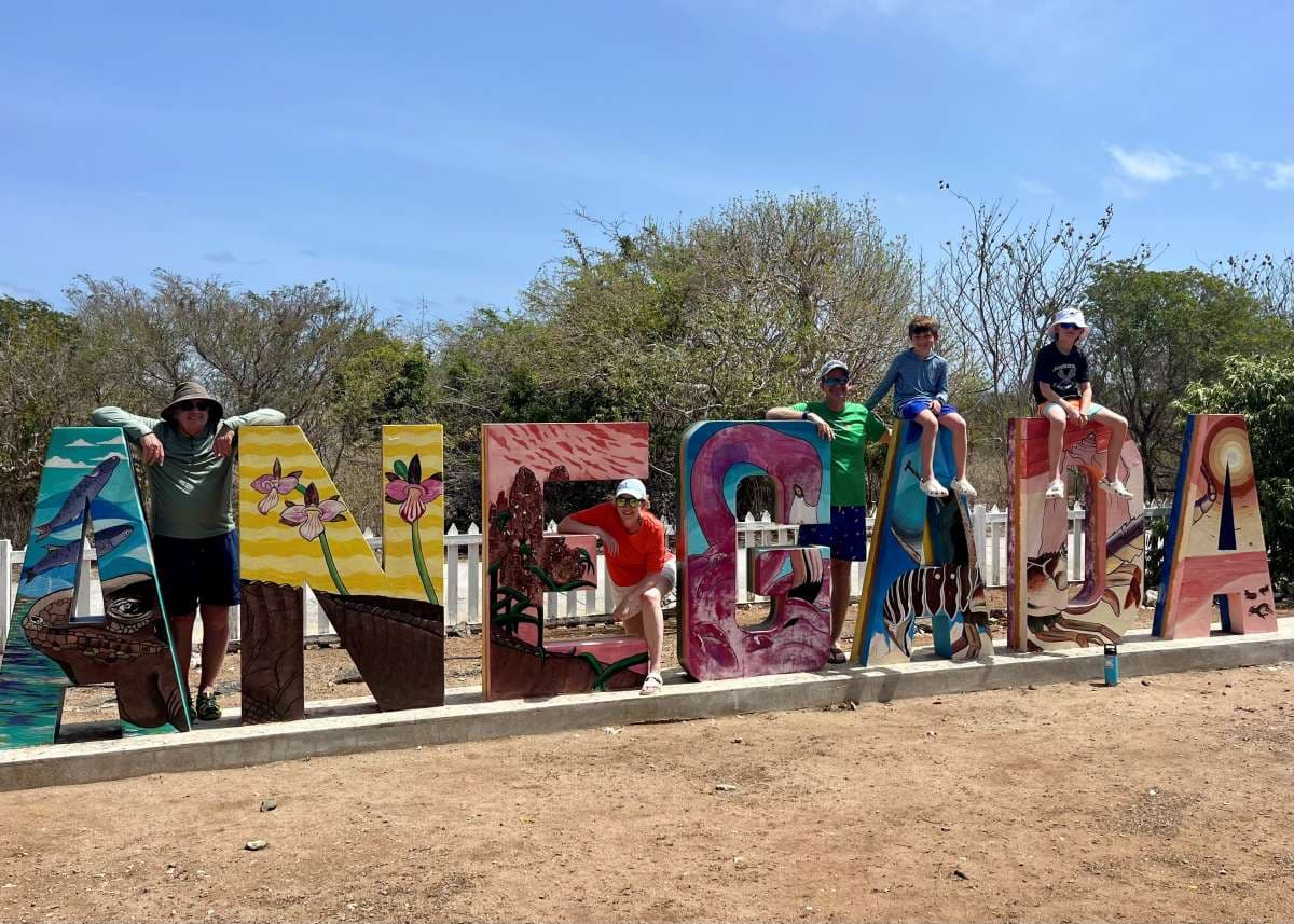 SANDY CINCO guest review